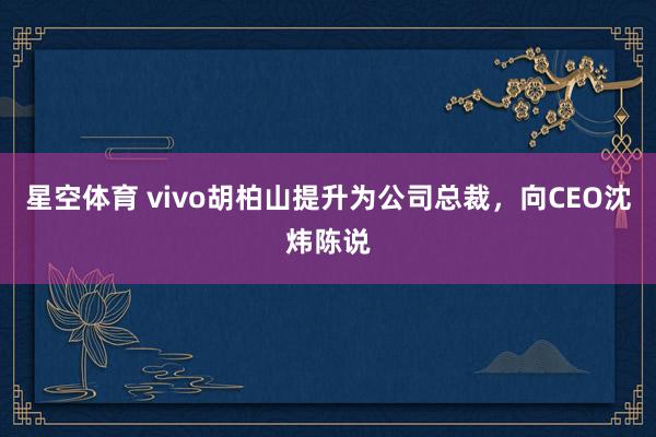星空体育 vivo胡柏山提升为公司总裁，向CEO沈炜陈说