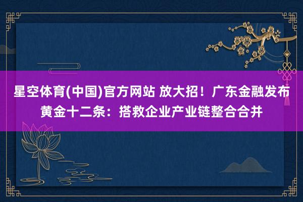 星空体育(中国)官方网站 放大招！广东金融发布黄金十二条：搭救企业产业链整合合并