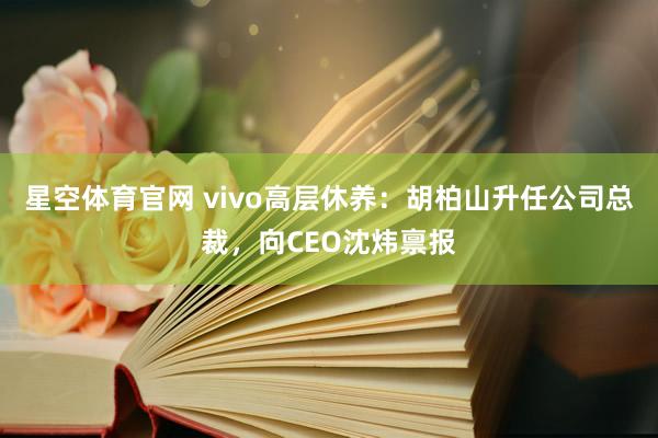 星空体育官网 vivo高层休养：胡柏山升任公司总裁，向CEO沈炜禀报