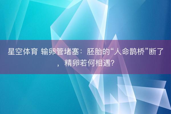 星空体育 输卵管堵塞：胚胎的“人命鹊桥”断了，精卵若何相遇？