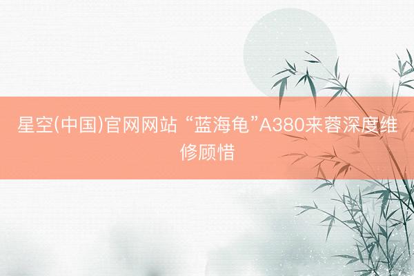 星空(中国)官网网站 “蓝海龟”A380来蓉深度维修顾惜