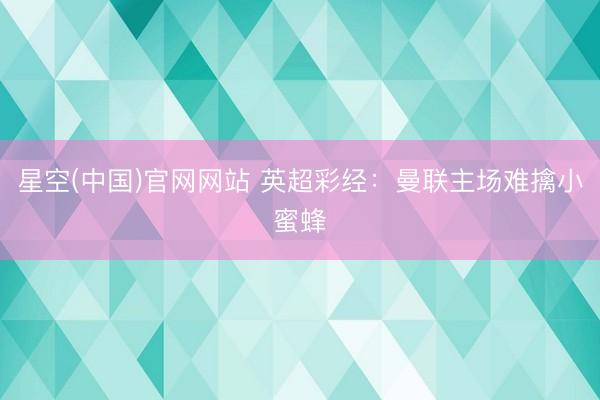 星空(中国)官网网站 英超彩经：曼联主场难擒小蜜蜂